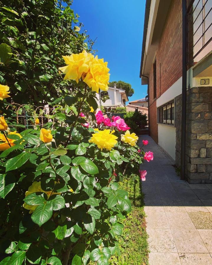 Casa Summer 切奇纳 外观 照片